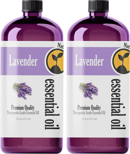Natures-Star Lavender Essential Oil, 16 Ounce, Therapeutic Grade for Aromatherapy, Candle & Soap Making, Diffusers & Home, Lavender Oil