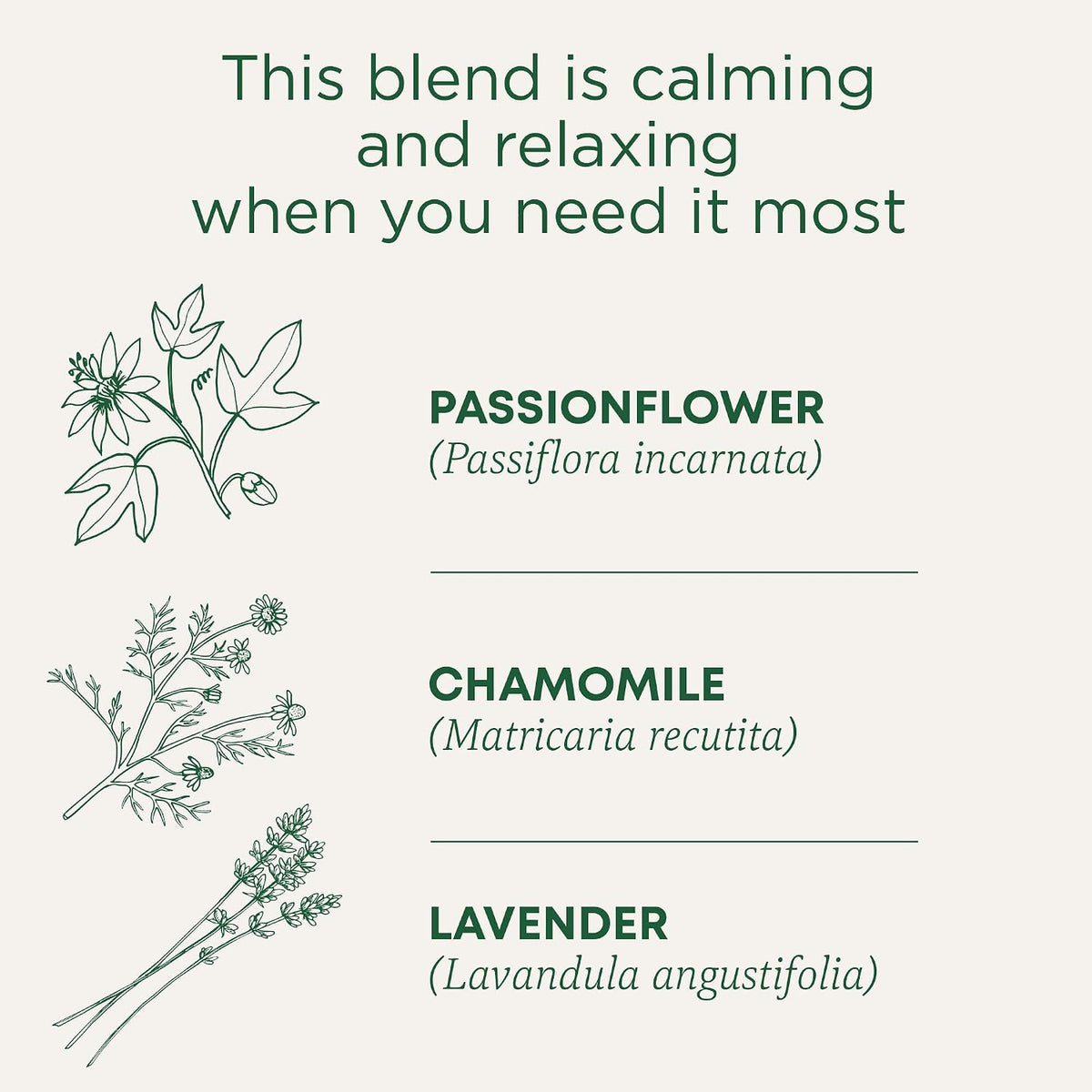 Traditional Medicinals Organic Cup of Calm Chamomile Mint, 16 Tea Bags