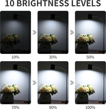 Desk Lamp USB Clip On Light,Book Lights for Reading at Night Clamp Light | 3 Color Modes,10 Brightness Clamp Light,360° Gooseneck LED Reading Light for Books in Bed,Eye-Care for Home Office,Headboards