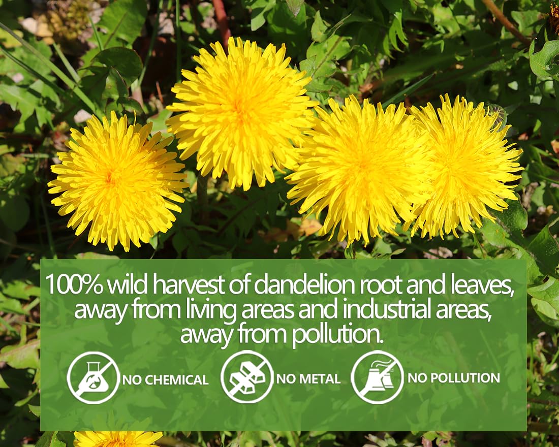 135 Premium Chamomile Tea Bags, Made with 100% Pure Natural Chamomile Flower, Caffeine Free & Non-GMO.
