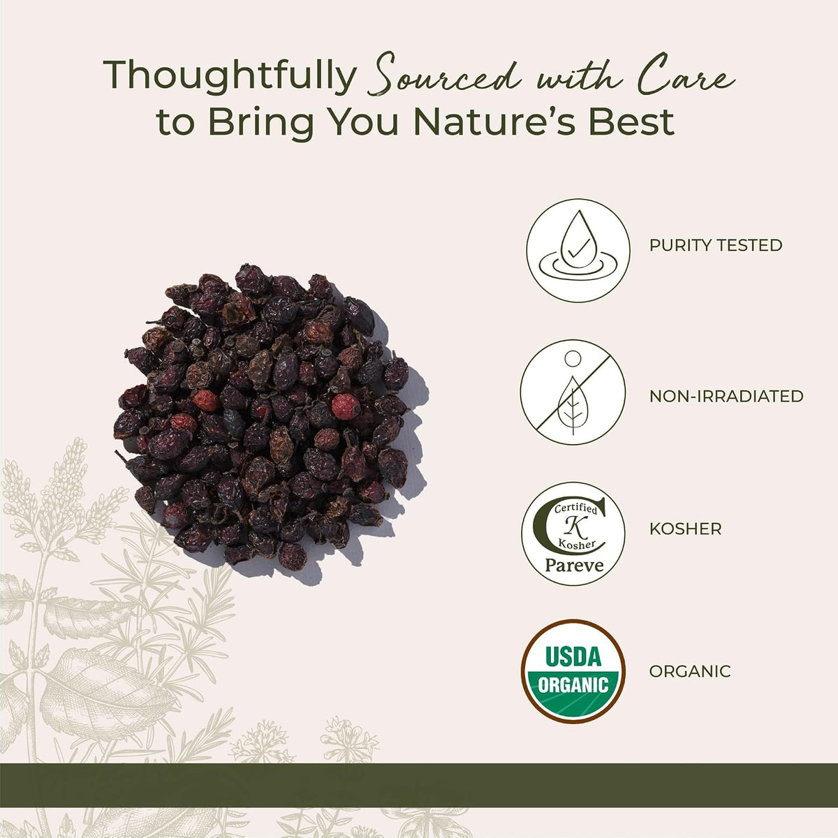 Starwest Botanicals Rosehips Whole Organic, Seedless - Bulk 1 lb Bag