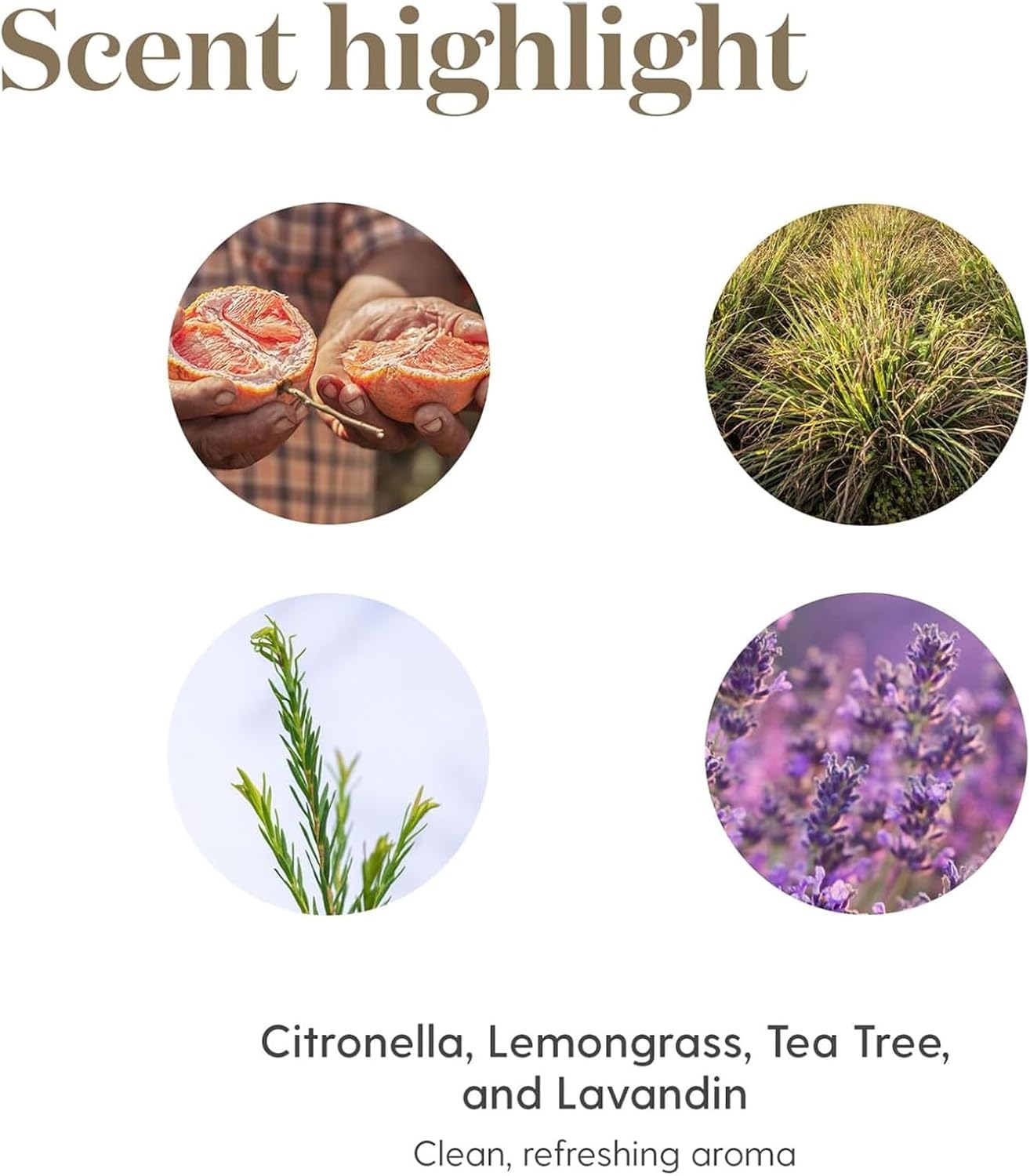 Young Living Lavender Essential Oil | 15 ml | Soothing & Relaxing Aroma for Massage, Aromatherapy, & Skin Care | Calms the Mind & Enhances Relaxation | Authentic Fragrance for Perfume