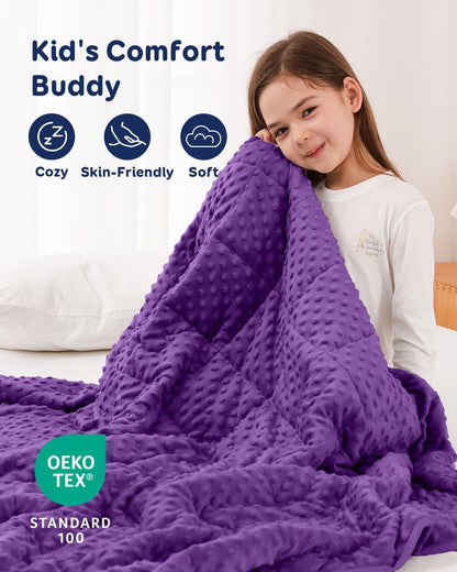 Kivik 2 lbs Weighted Lap Pad, Ultra Soft Minky Dotted Heavy Blankets Throw for Better Study Relaxing & Sleeping, Machine Washable, 20 x 30 Inches, Purple