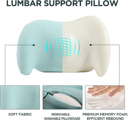 Lumbar Support Pillow for Office Chair, Car Lumbar Pillow Lower Back Pain Relief, Memory Foam Back Cushion with 4D Mesh Cover and Adjustable Straps, Ergonomic Chair Back Pillow for Car,Bed, Gaming
