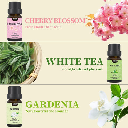 Essential Oils Set Top 6 Aromatherapy-Essential Oils for Diffuser for Home,Air Freshening Diffuser Oils Scents for Aromatherapy,Laundry,Candle&Soap Making,Humidifiers 6 X 10ML