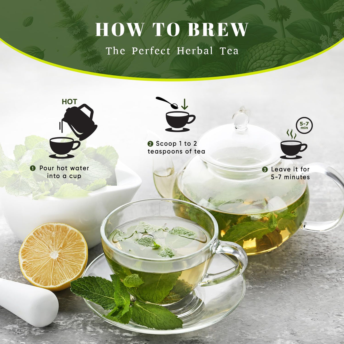 Oxify USDA Organic Spearmint Loose Leaf Tea, Caffeine Free, 16 oz