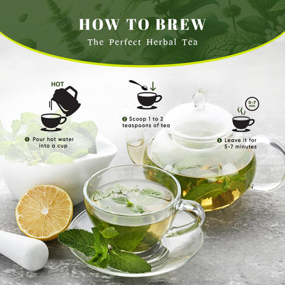 Oxify USDA Organic Spearmint Loose Leaf Tea, Caffeine Free, 16 oz