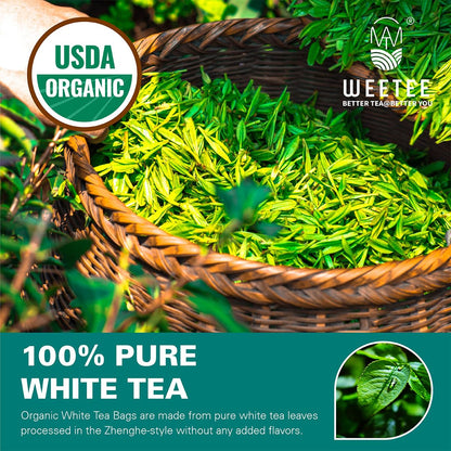 WT WEETEE Organic White Tea Bags 100ct, Low Caffeine & Rich Antioxidants