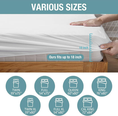 Bedecor Queen Waterproof Mattress Protector, Pee Proof Cotton Terry Cover | Noiseless, Soft Cotton Terry, Breathable, Fitted Elastic Deep Pocket 9-18 in, Washable, for Incontinence, Kids, Pets, Elderly