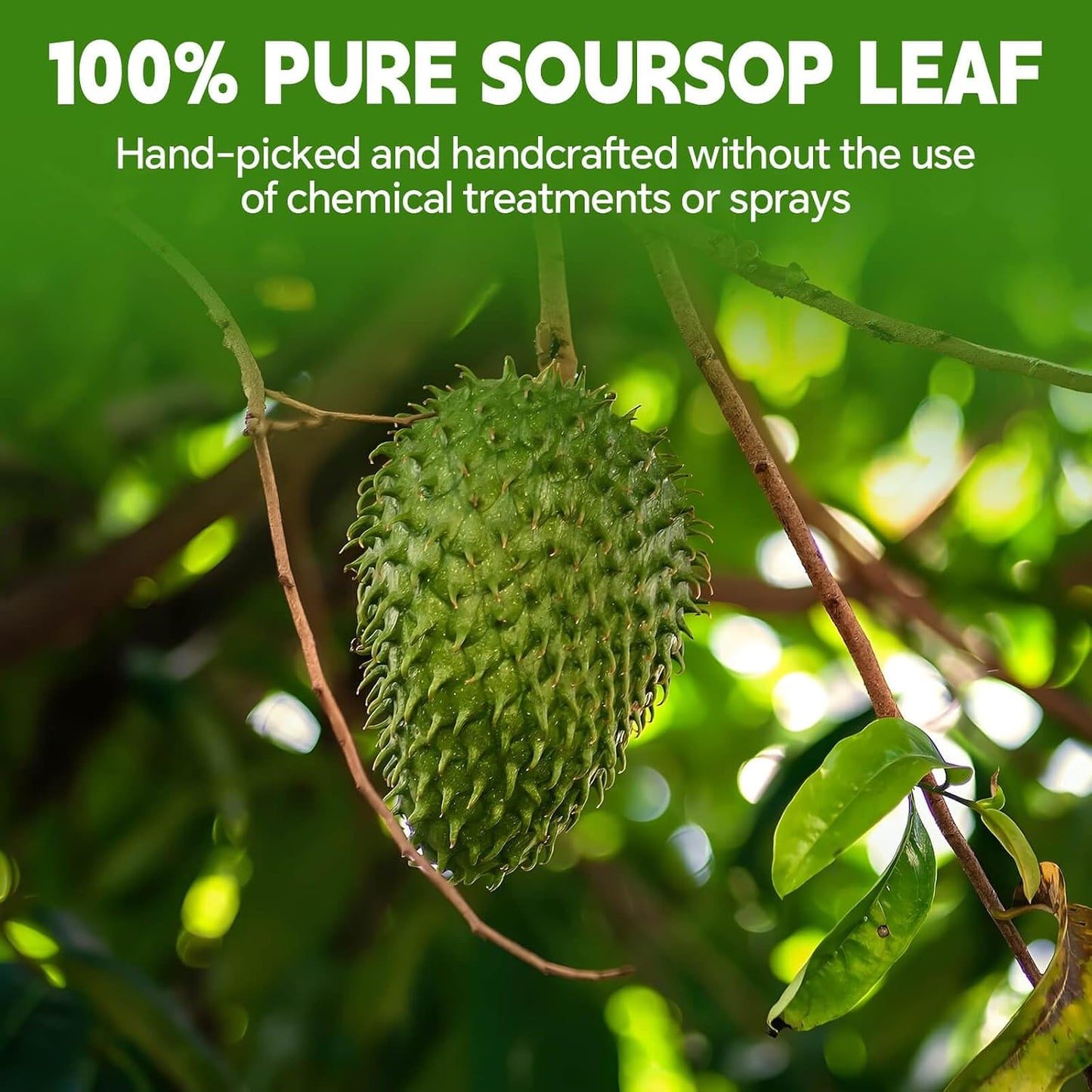 Lemon Balm Leaf Tea Bags-120 Tea Bags (2g/Bag), Made with 100% Natural Lemon Balm Leaves | Helps with Digestion and Antioxidation | Caffeine-Free | Sugar-Free | Gluten-Free | Vegan | Eco-Friendly Tea Bags