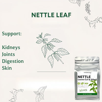 Premium Nettle Leaf Tea 4 oz (113g) - Dried Loose Leaves