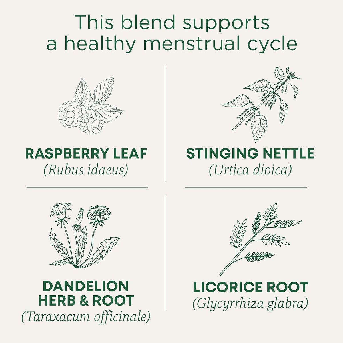 Traditional Medicinals Tea, Organic Healthy Cycle, Supports Healthy Menstrual Cycles, Includes Spearmint,16 Tea Bags