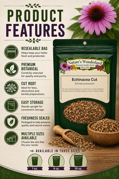 Nature's Wonderland Echinacea Purpurea Root Cut 4oz. (Echinacea purpurea) – Wild Harvested Herbal Tea Cut | Premium Botanical Ingredient | No Fillers | Herbal Tea, Decoctions & DIY Herbal Preparations