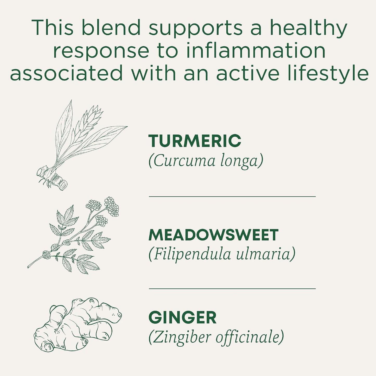 Traditional Medicinals Organic Turmeric with Meadowsweet & Ginger Herbal Tea, Supports A Healthy Response To Inflammation,16 Count (Pack of 6)