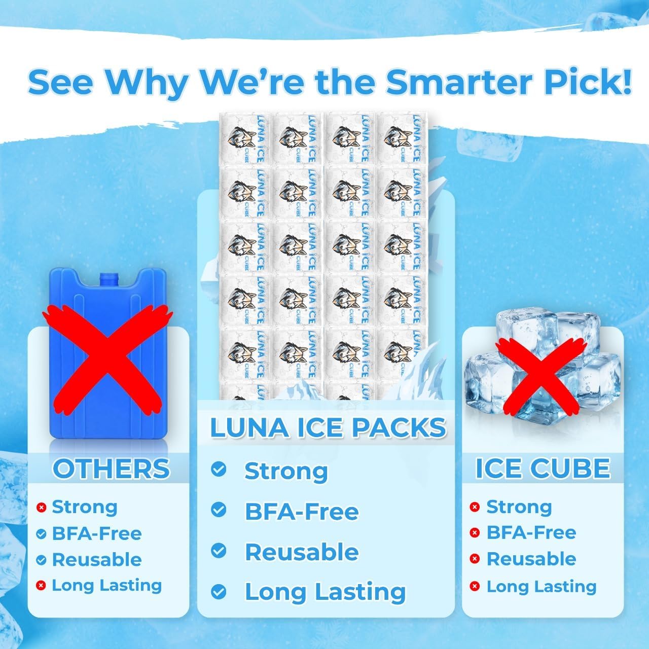 Dry Ice Packs for Shipping - Long Lasting ice Packs - 24+ Hour Freeze Power - BPA Free - 12 Pack Bulk 3 lb – Hielo Seco - Reusable Gel Bricks for Food