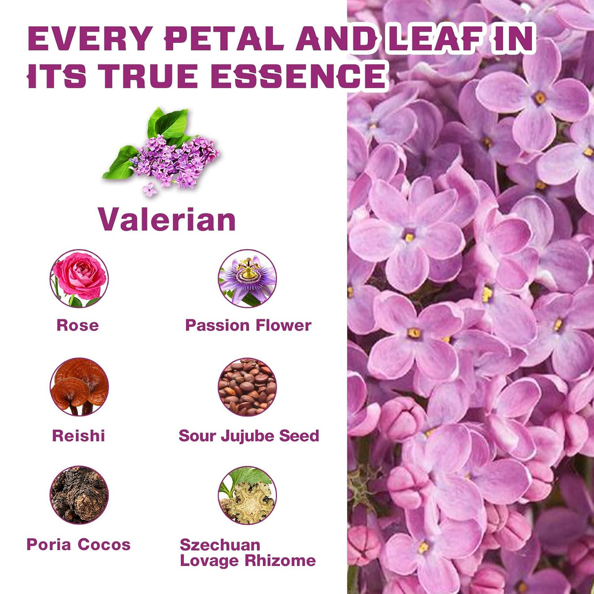 VailHerbTea Valerian Root Tea for Sleep & Relaxing, Mild Taste Tea, 50bags