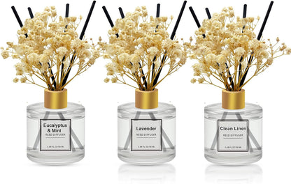 Reed Diffuser Set of 3 Pack,Clean Linen,Eucalyptus & Mint,Ocean Scented Oil Diffuser with 4 Sticks,Reed Diffusers for Home,Living Room,Bathroom Air Freshener Diffuser,50ml x 3