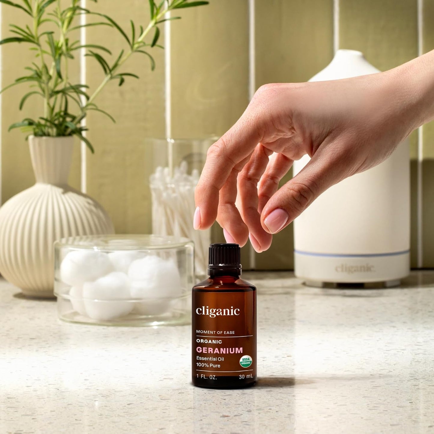 Cliganic Organic Lavender Essential Oil - 100% Pure Natural Undiluted, for Aromatherapy Diffuser | Non-GMO Verified - Colors B