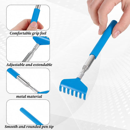 2Pcs Mini Zen Garden Rake Tools, Garden Sand Rake Feng Shui Decoration, Miniature Tabletop Rock Sand Zen Garden Accessories for Home Office(Blue + Black)