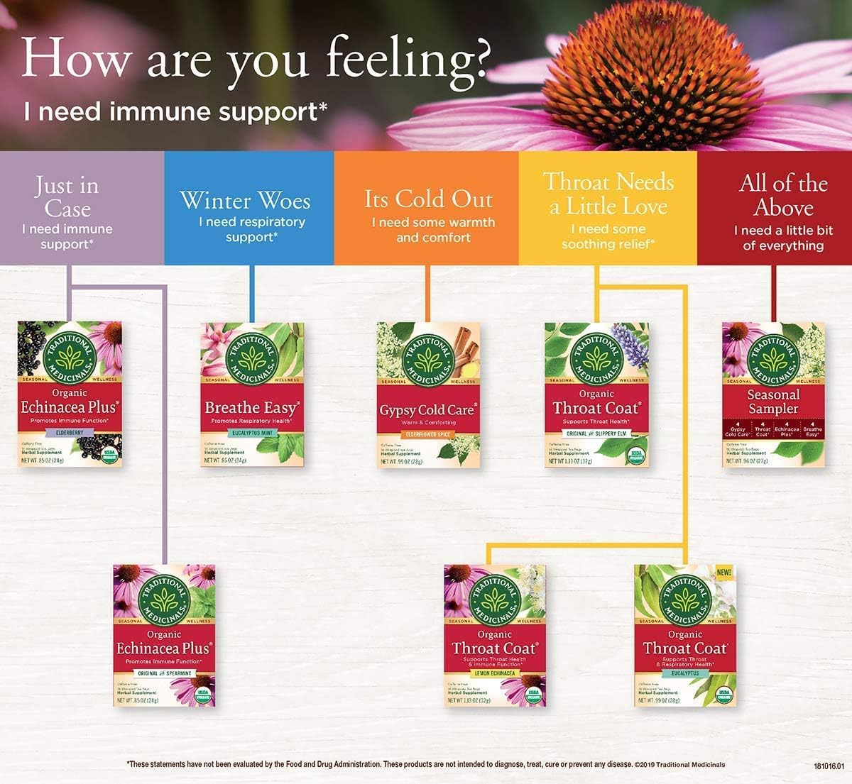 Traditional Medicinals Organic Echinacea Plus Herbal Tea - 16 Tea Bags - Case of 6