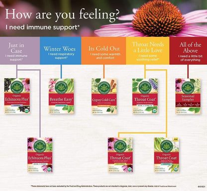 Traditional Medicinals Organic Echinacea Plus Herbal Tea - 16 Tea Bags - Case of 6