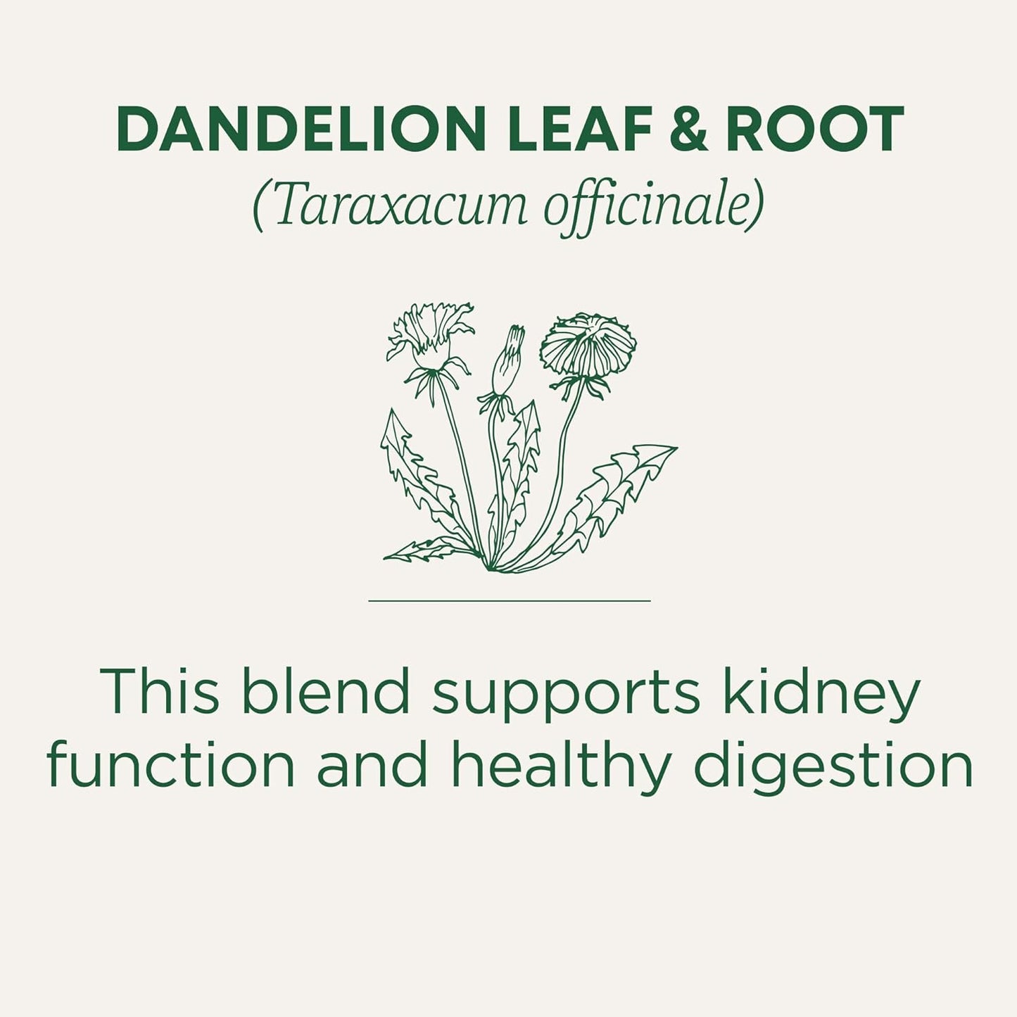 Traditional Medicinals Organic, Dandelion Leaf & Root - Dandelion Root Tea, Supports Normal Detox + Digestion - Kosher, Non-GMO, Caffeine-Free, Compostable - 96 Tea Bags (6 Packs of 16)