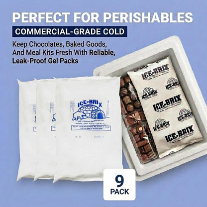 ICE-BRIX Reusable Gel Ice Packs for Shipping, 5 x 2.75 x 0.75 in, 3 oz White (96 Pack) - Compact Cold Packs for GLP-1 Medication Mailers, Lunch Boxes, Small Coolers, Frozen Food & Perishables