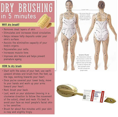 Yerba Prima Tampico Skin Brush (Pack of 1) - Natural Vegetable Fiber Bristles for Dry Skin Brushing