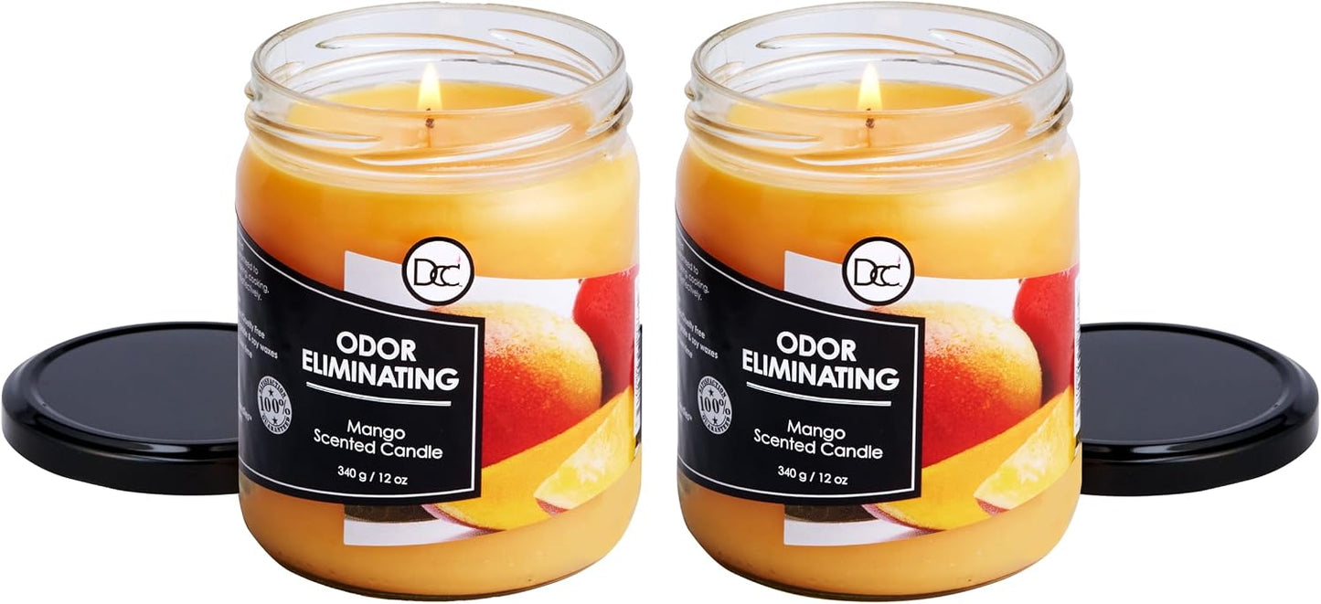 Vanilla Bean Odor Eliminating Highly Fragranced Candle - Eliminates 95% of Pet, Smoke, Food, and Other Smells Quickly - Up to 80 Hour Burn time - 12 Ounce Premium Soy Blend - Colors A