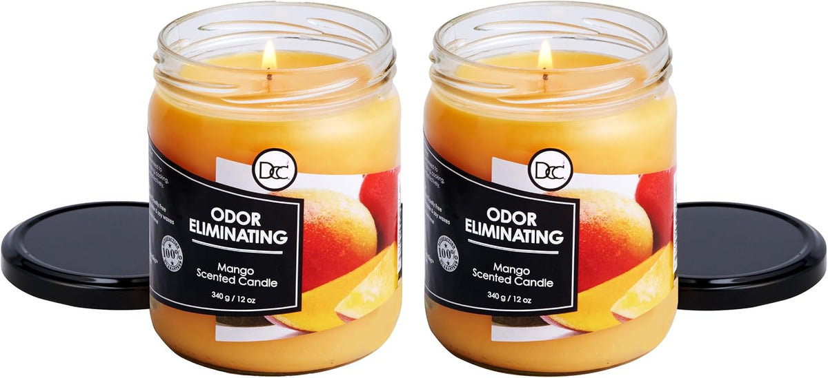 Vanilla Bean Odor Eliminating Highly Fragranced Candle - Eliminates 95% of Pet, Smoke, Food, and Other Smells Quickly - Up to 80 Hour Burn time - 12 Ounce Premium Soy Blend - Colors A