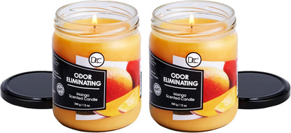 Vanilla Bean Odor Eliminating Highly Fragranced Candle - Eliminates 95% of Pet, Smoke, Food, and Other Smells Quickly - Up to 80 Hour Burn time - 12 Ounce Premium Soy Blend - Colors A