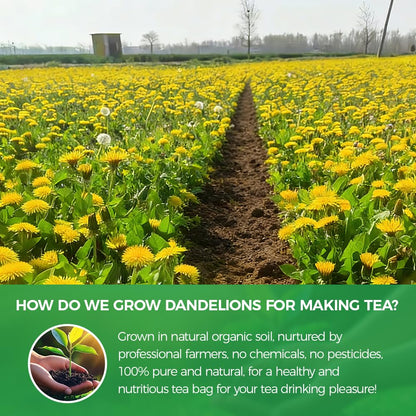 WOTIHA 60 Count Premium Dandelion Root Tea Bags - 100% Natural Roasted, Supports Liver & Kidney Health, Digestion & Immunity, Caffeine-Free, Additive-Free, Gluten-Free, Vegan.