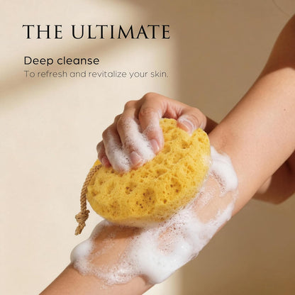 Spongentle Loofah Sponge for Shower and Bathing, Bath Sponge with Dual Texture, Shower Pouf for Gentle and Deep Exfoliation, Large Size Body Scrubber for Men & Women, PU Foam, 37% More Lather, 3 Pack
