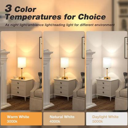 Small Bedside Table lamp for Bedroom - 3 Color Temperatures Bedside Lamps with USB C and A Ports, Pull Chain Table Lamps with AC Outlet, White Nightstand Lamps with Black Metal Base for Kids Reading