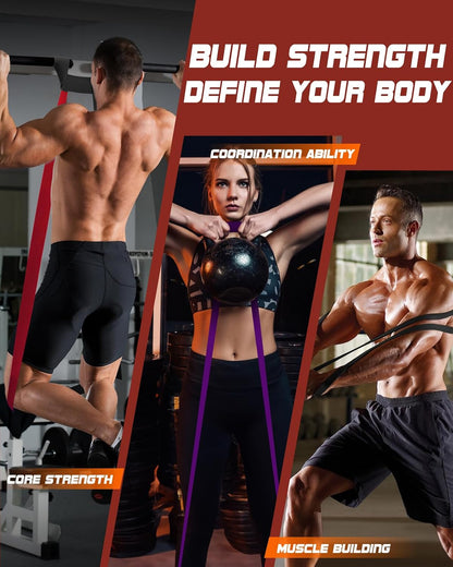 Fitense Resistance Bands Set - Pull Up Bands for Men Women, Exercise Bands Resistance with Door Anchor, Training Poster & Pouch for Body Stretching, Pull Up Assist