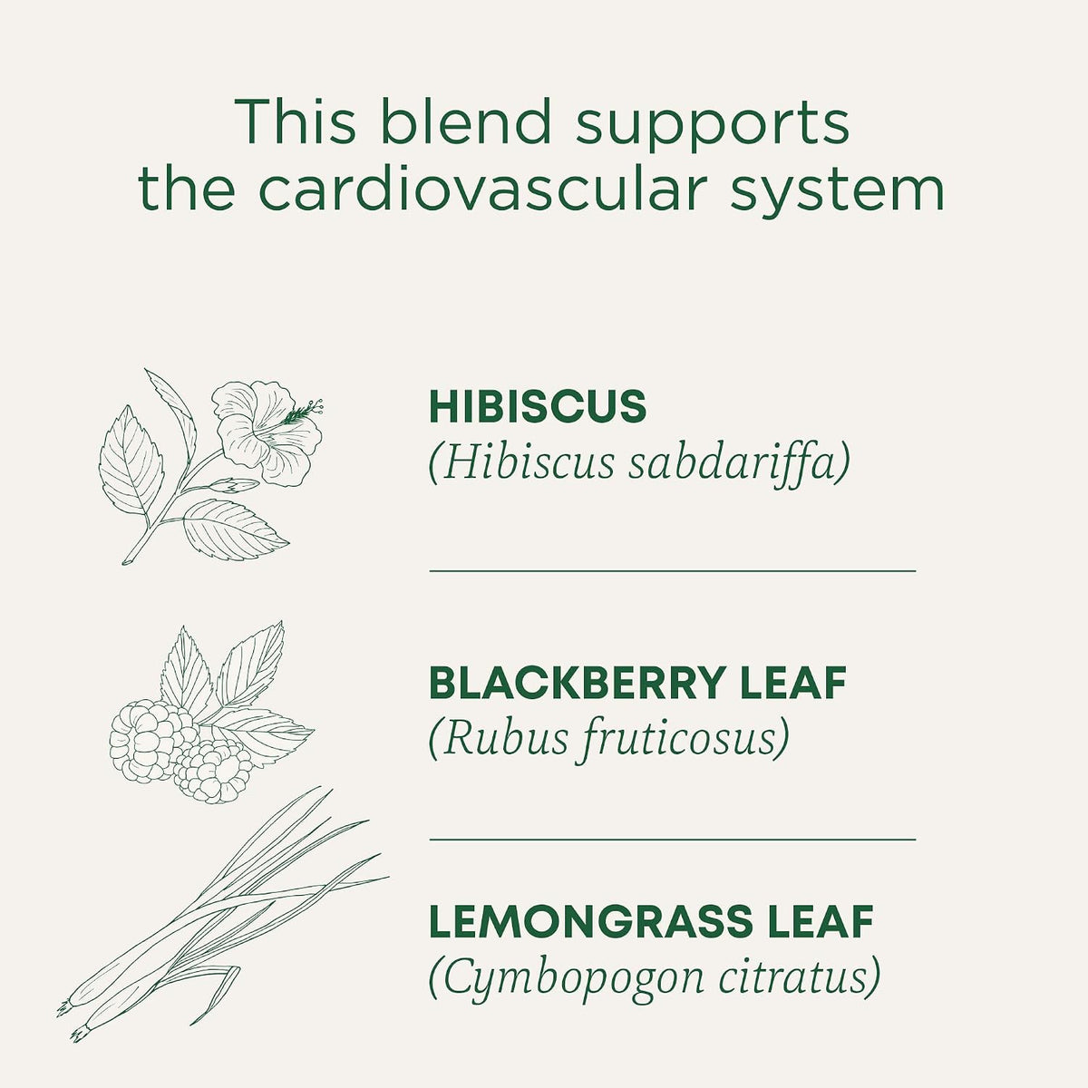 Traditional Medicinals Organic, Hibiscus Tea - Supports Normal Heart Health & Cardiovascular Wellness - Kosher, Non-GMO, Caffeine-Free, Compostable - 16 Tea Bags