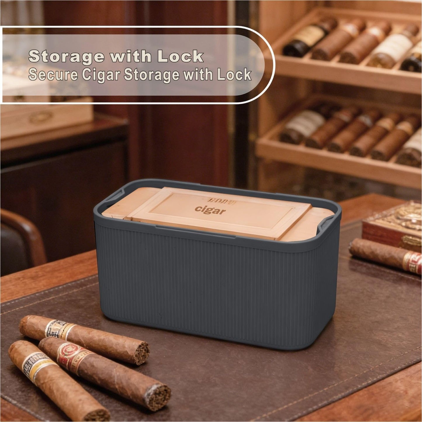 Lockable Storage Box,Medicine Lock Box Travel Case,Refrigerator Bin Container for Food,Medicines,Snacks,Locking Mobile Cell Phone Device Jail,Lockbox for Office,Home,School,Father Gift (Navy Small)