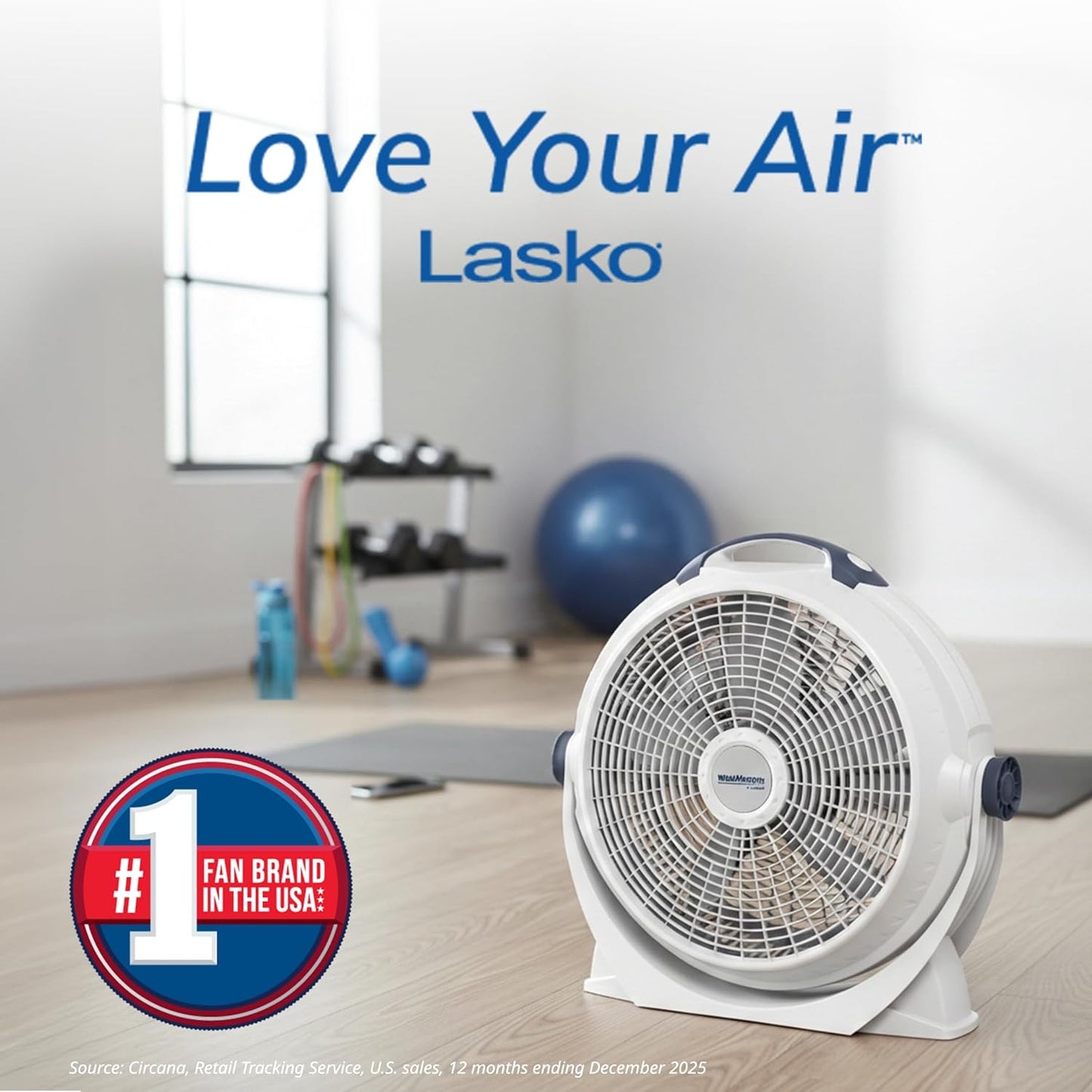 Lasko Wind Machine Fan, Air Circulator Fan with 3 Speeds, 20" Model 3300, Gray