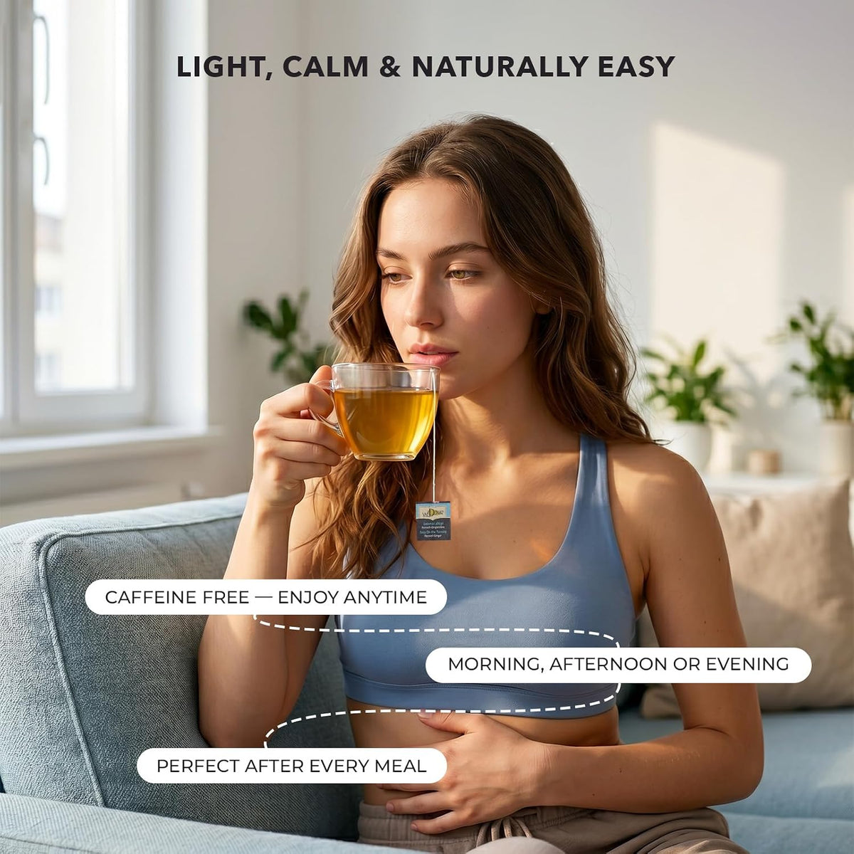 Valdena Bio Organic Digestive Herbal Tea Fennel Ginger Peppermint Licorice & Cardamom Caffeine Free Kosher USDA & EU Organic 20 Individually Wrapped Tea Bags