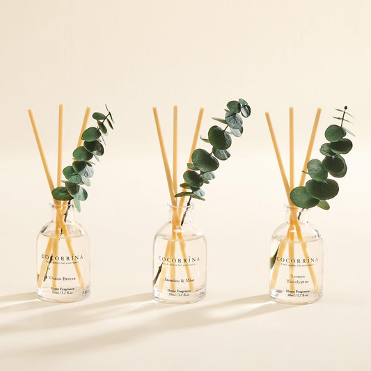 COCORRÍNA Eucalyptus Reed Diffuser Set of 3 - Eucalyptus & Moss, Clean Linen, Ocean Mist Scents, 1.7 fl oz Each, Total 5.1 oz, Scented Oil Diffusers for Home & Office