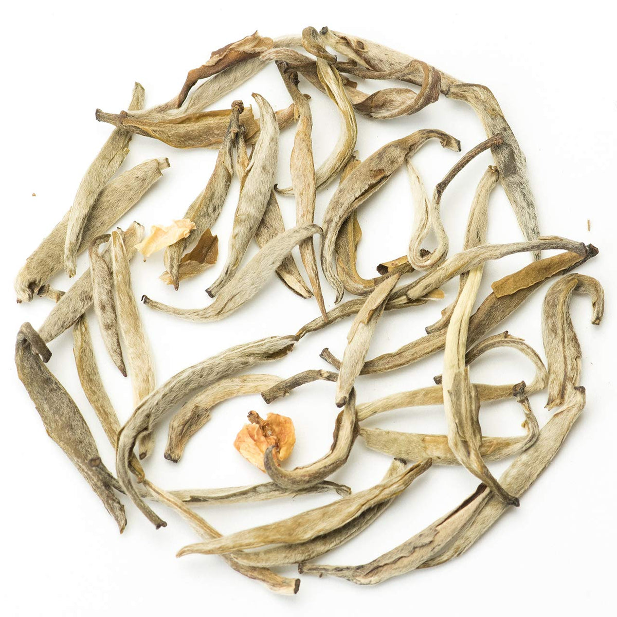 Teavivre Jasmine Silver Needle White Tea (Mo Li Yin Zhen) Loose Leaf Chinese Tea - 3.5oz / 100g