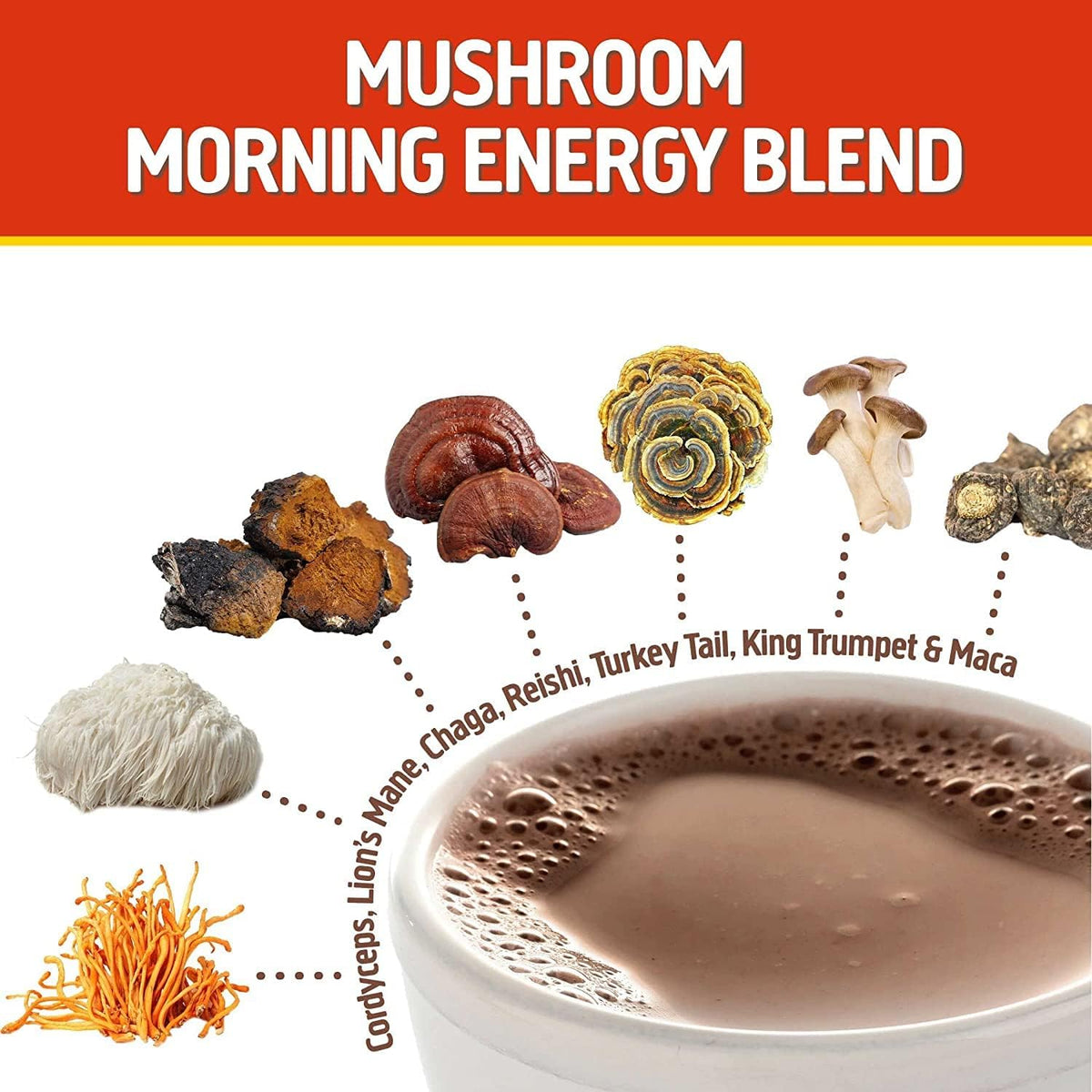 OM MUSHROOM SUPERFOOD Matcha Latte Blend – Green Tea Mushroom Powder with Lion’s Mane, Reishi, Chaga & Turkey Tail – Focus, Calm & Stress Support – 8.47 oz Canister (30 Servings)