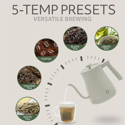 WILLOW ECO SERIES Gooseneck Electric Kettle with 5 Temperature Presets and Keep Warm Feature, 0.8L Pour Over Kettle for Coffee & Tea 1200W Quick Heating with 100% Stainless Steel Interior Water Heater