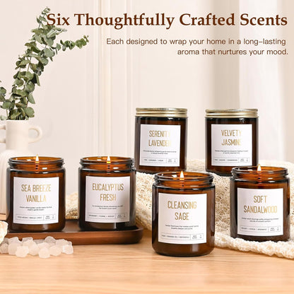 6-Pack Scented Soy Candle Set – Lavender Vanilla, Eucalyptus, Sandalwood, Jasmine & White Tea, Coconut, Sage | Natural Long Lasting Aromatherapy Candles for Home, Relaxation & Birthday Gifts