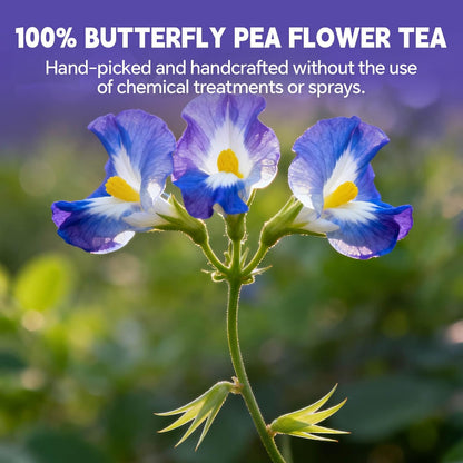 Lemon Balm Leaf Tea Bags-120 Tea Bags (2g/Bag), Made with 100% Natural Lemon Balm Leaves | Helps with Digestion and Antioxidation | Caffeine-Free | Sugar-Free | Gluten-Free | Vegan | Eco-Friendly Tea Bags