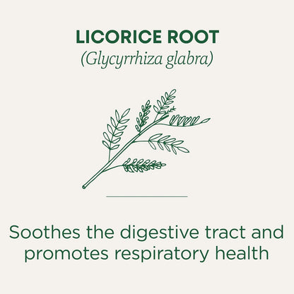 Traditional Medicinals Tea, Organic Licorice Root, Soothes the Digestive Tract & Promotes Respiratory Health - Kosher, Non-GMO, Caffeine-Free - 96 Tea Bags (6 Pack)