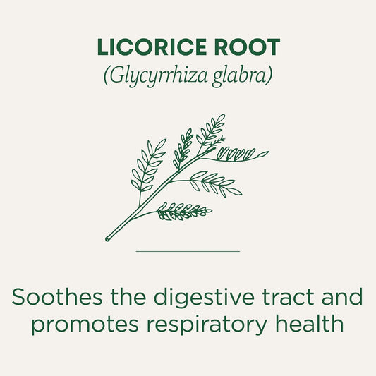 Traditional Medicinals Tea, Organic Licorice Root, Soothes the Digestive Tract & Promotes Respiratory Health - Kosher, Non-GMO, Caffeine-Free - 96 Tea Bags (6 Pack)