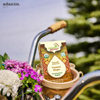 Adanim Bio Organic Turmeric Ginger Herbal Tea Bags Caffeine Free Pure Herbal Blend with Black Pepper USDA Organic Vegan & Kosher 20 Individually Wrapped Tea Bags