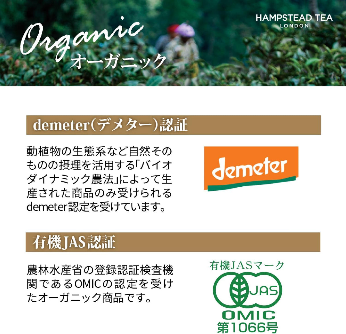 HAMPSTEAD TEA Earl Grey Tea Sachets 20 Bag, 0.02 Pound