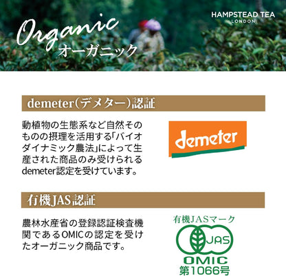 HAMPSTEAD TEA Earl Grey Tea Sachets 20 Bag, 0.02 Pound